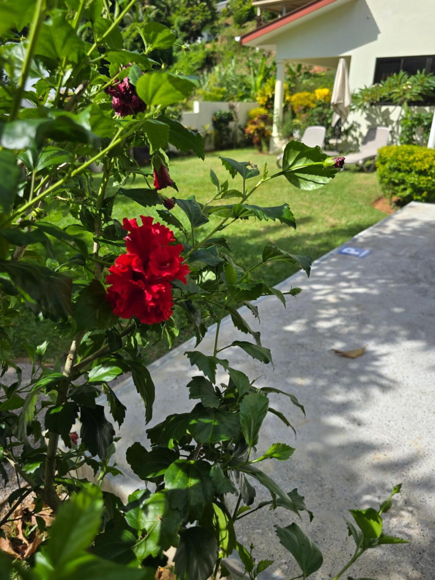 Emma'S Guest House And Self-Catering Au Cap Exterior photo