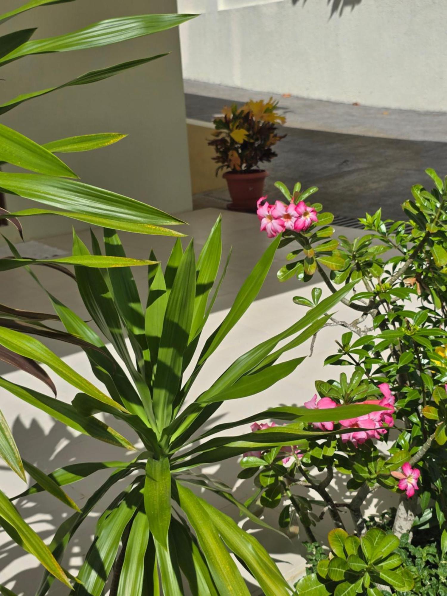 Emma'S Guest House And Self-Catering Au Cap Exterior photo